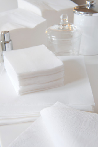 Serviette blanc ouate de cellulose 20x20 cm Lisah Pro.mundi (50 pièces)