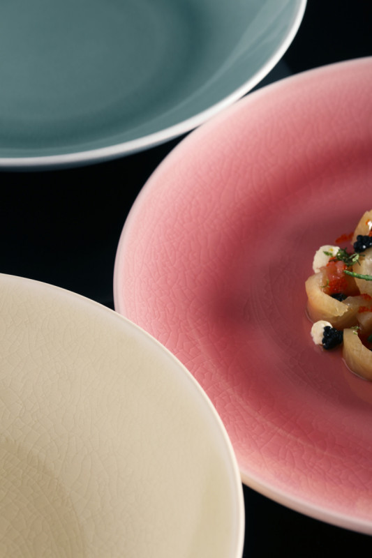 Assiette coupe plate rond rose porcelaine vitrifiée Ø 26,7 cm Vintage Rak