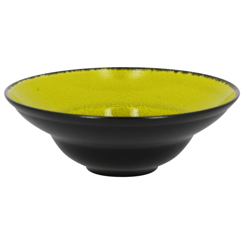 Assiette extra creuse rond vert porcelaine vitrifiée Ø 22,7 cm Fire Rak