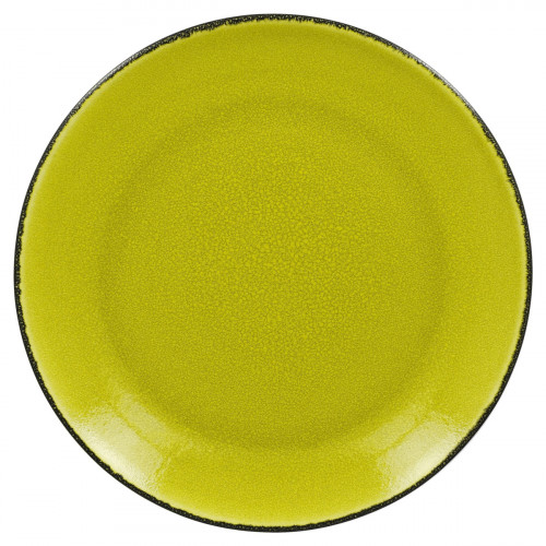 Assiette plate rond vert porcelaine vitrifiée Ø 26,7 cm Fire Rak
