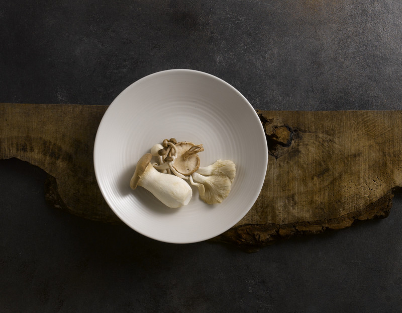 Assiette plate rond blanc porcelaine Ø 25,2 cm Evo Pearl Dudson