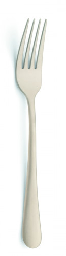 Fourchette de table or inox 18/0 20,6x2,5 cm Austin Pvd Champagne Amefa