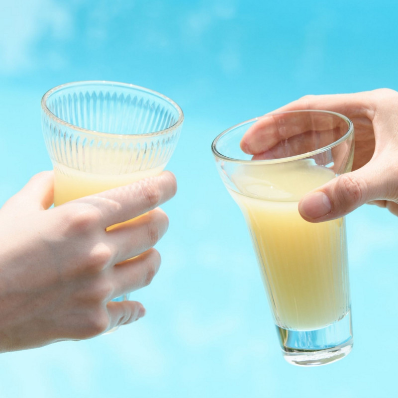 Verre à pastis verre pressé 22 cl Calanques La Rochere