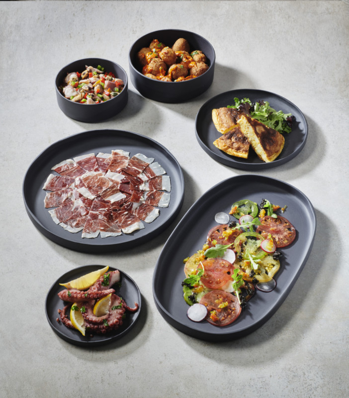 Assiette plate ovale noir porcelaine culinaire 35,5x21,8 cm Caractère Revol